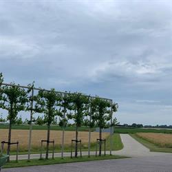 Hotel Pension Oppe Klincke