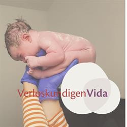 Verloskundigen Vida