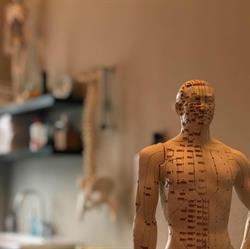 Praktijk voor Acupunctuur en Fysiotherapie