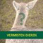 Dierenambulance Velsen