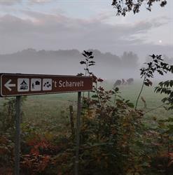 Camping Natuur Kampeerterrein 't Scharvelt