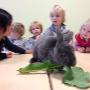 Kinderopvang Mowgli