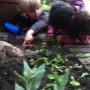 Kinderopvang Mowgli