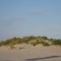 Camping- en Appartementenverhuur 't Wan-Tij