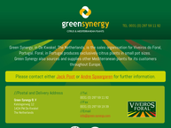 Green Synergy Real Estate Bv