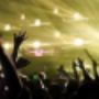 Lively Entertainment