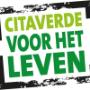 CITAVERDE College
