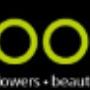 Bloom BV