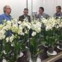 VGB Vereniging voor Groothandelaren in Bloemkwekerijprodukten