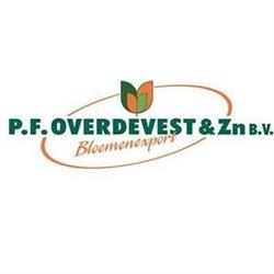 P.f. Overdevest Bloemenexport Bv