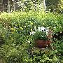 Hotel-Pension Zoom-Oord