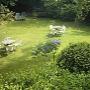 Hotel-Pension Zoom-Oord