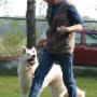 YouDog