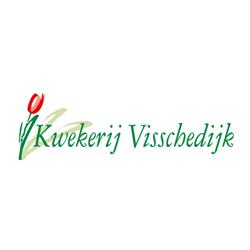 Kwekerij Visschedijk