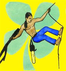 Boomspecialisten TARZAN