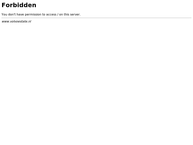 Arnt van der Steen Handelsonderneming