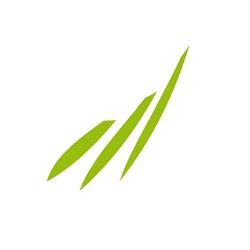 Gemeente Medemblik