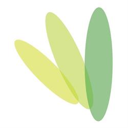 Fysiotherapie De Kranshof