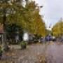 Zuidwest Friesland Wonen