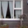 Zuidwest Friesland Wonen