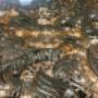 Handgesneden hout chroom goud
