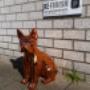 Franse buldog chroom oranje