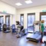 Fysiotherapie Midden Noord