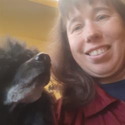 Doggy's Trimsalon