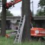 Boomrooierij Van Zwienen/ Klompenfabriek