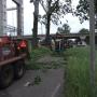 Boomrooierij Van Zwienen/ Klompenfabriek