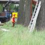 Boomrooierij Van Zwienen/ Klompenfabriek