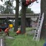 Boomrooierij Van Zwienen/ Klompenfabriek