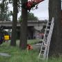 Boomrooierij Van Zwienen/ Klompenfabriek