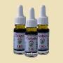 Healthshop & Headshop & Smartshop Apollyon