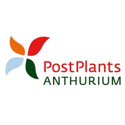 Postplants