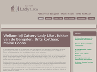 Website van Cattery Lady Like 