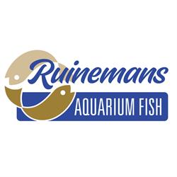 Ruinemans Group