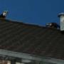 Westra Preventie en Bestrijding Ongedierte Loet