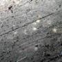 Westra Preventie en Bestrijding Ongedierte Loet