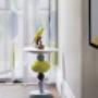 Velden Woninginrichting vd