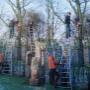 Logtmeijer Hoveniersbedrijf