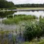 Biodivers BV Zaden