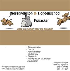 Hondenschool Pijnacker