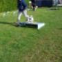 Hondentraining Kruisland