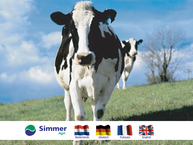Simmer Agri