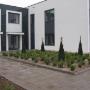 Hoveniersbedrijf Ben's Boom & Tuin