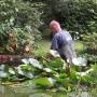 Hoveniersbedrijf Ben's Boom & Tuin