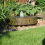 Hoveniersbedrijf Ben's Boom & Tuin