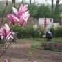 Hoveniersbedrijf Ben's Boom & Tuin