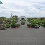 Hoveniersbedrijf Ben's Boom & Tuin